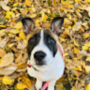 Meet your Posher, Sally